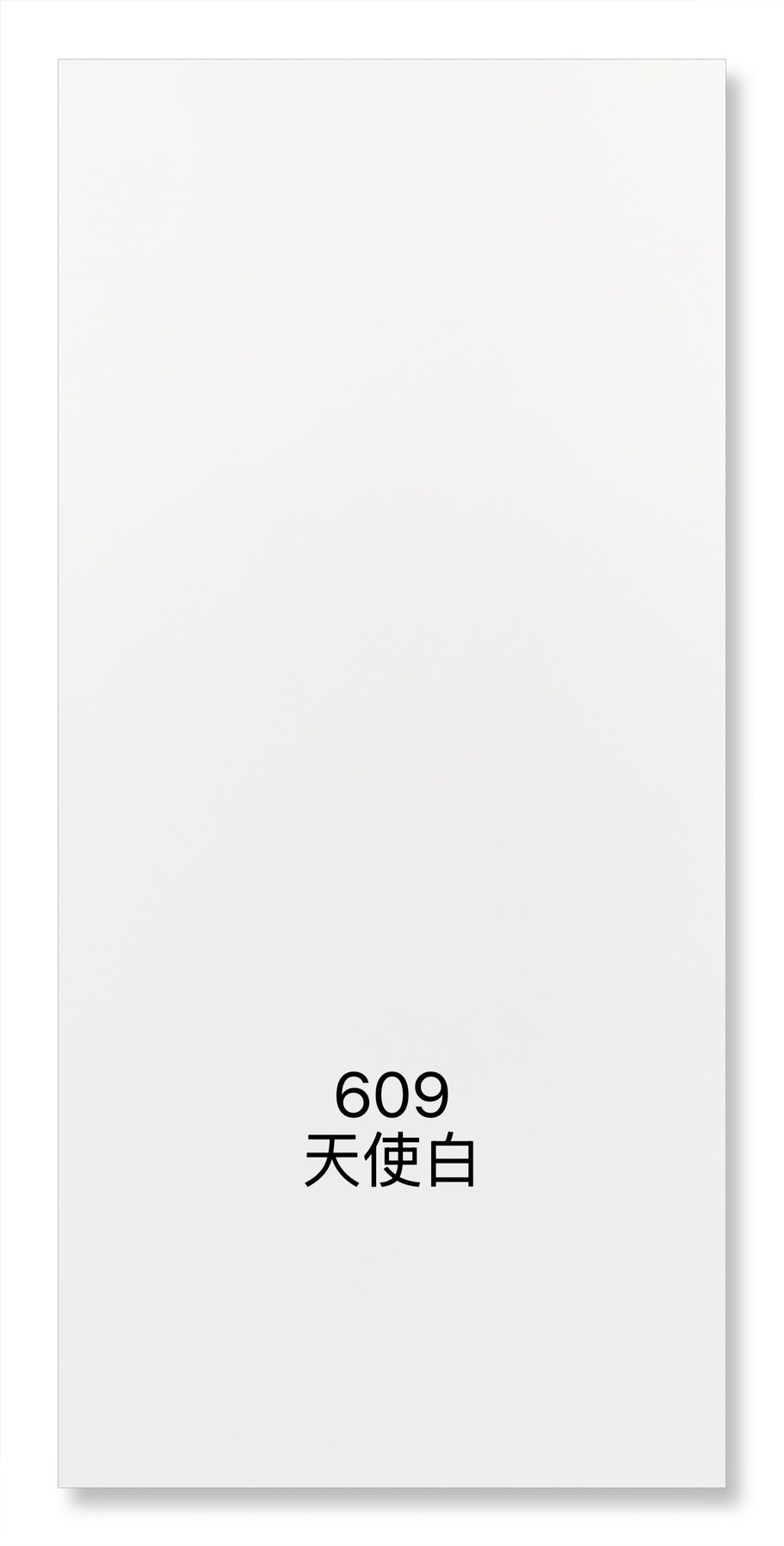609天使白