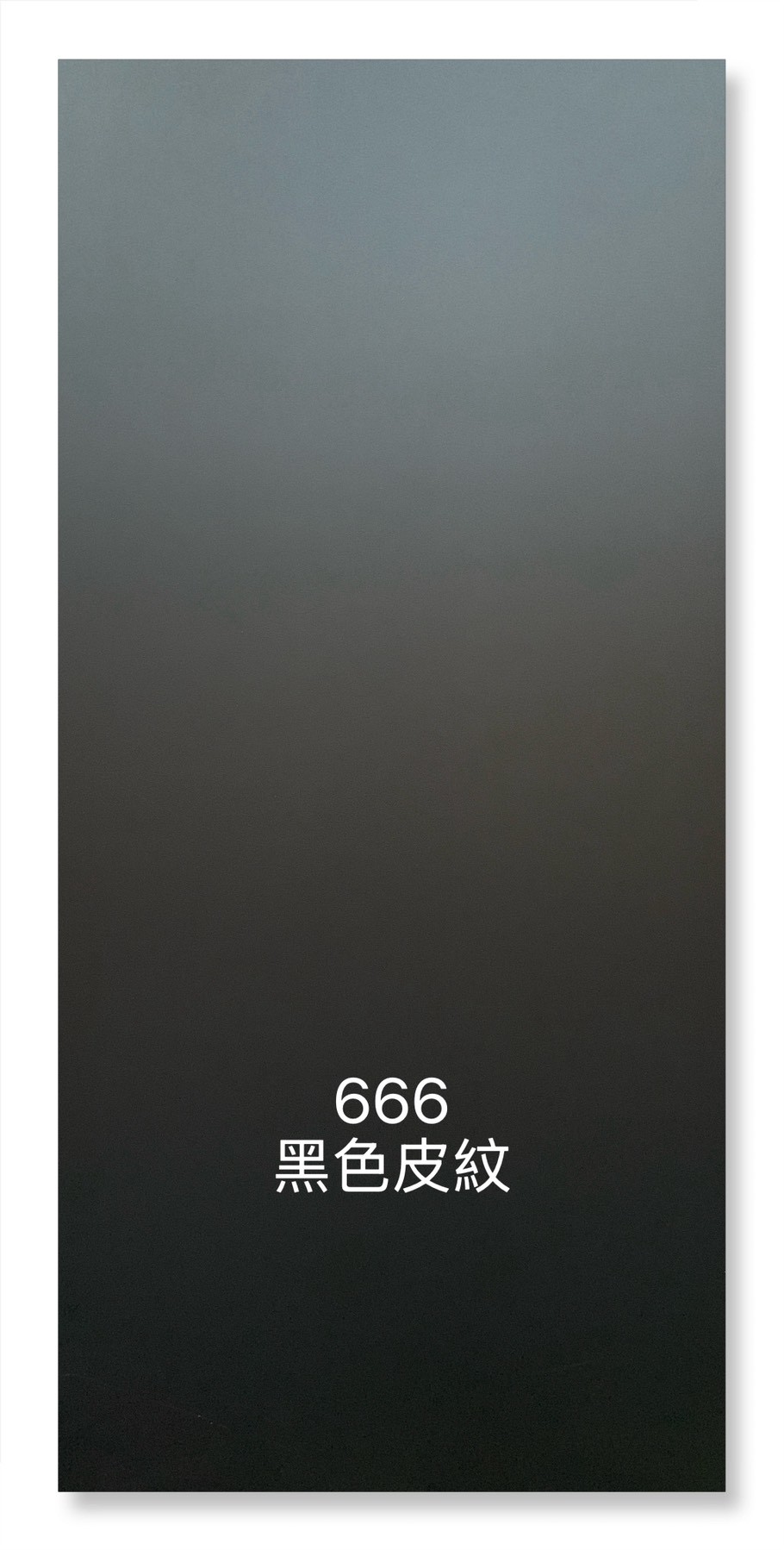 666黑色皮紋