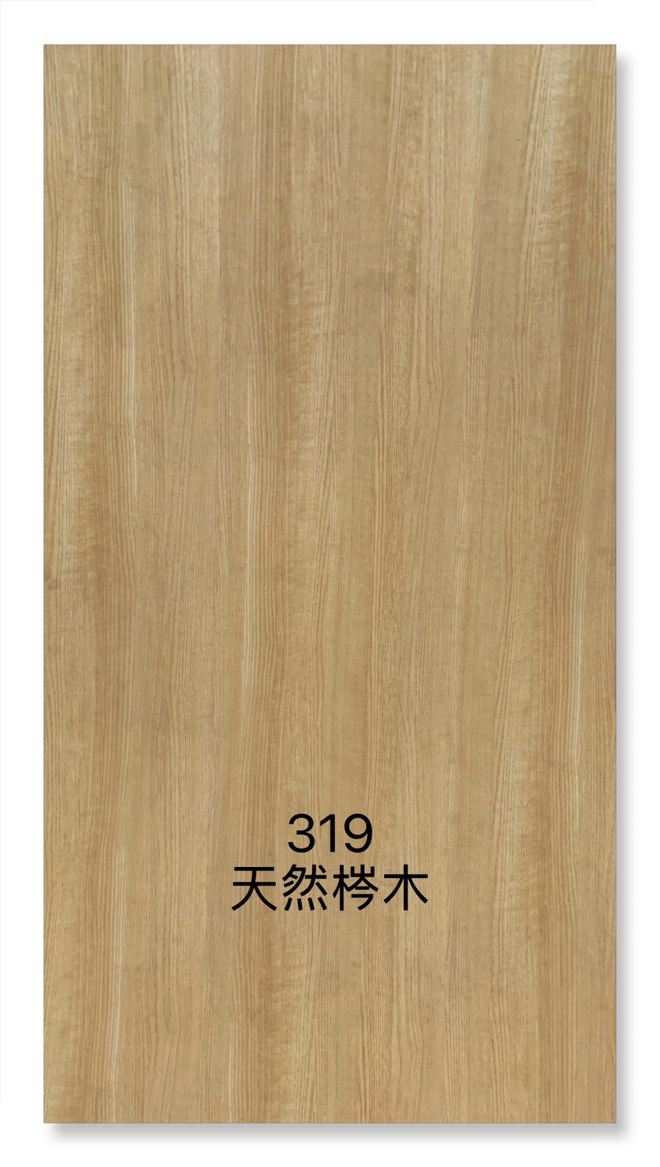 319天然梣木