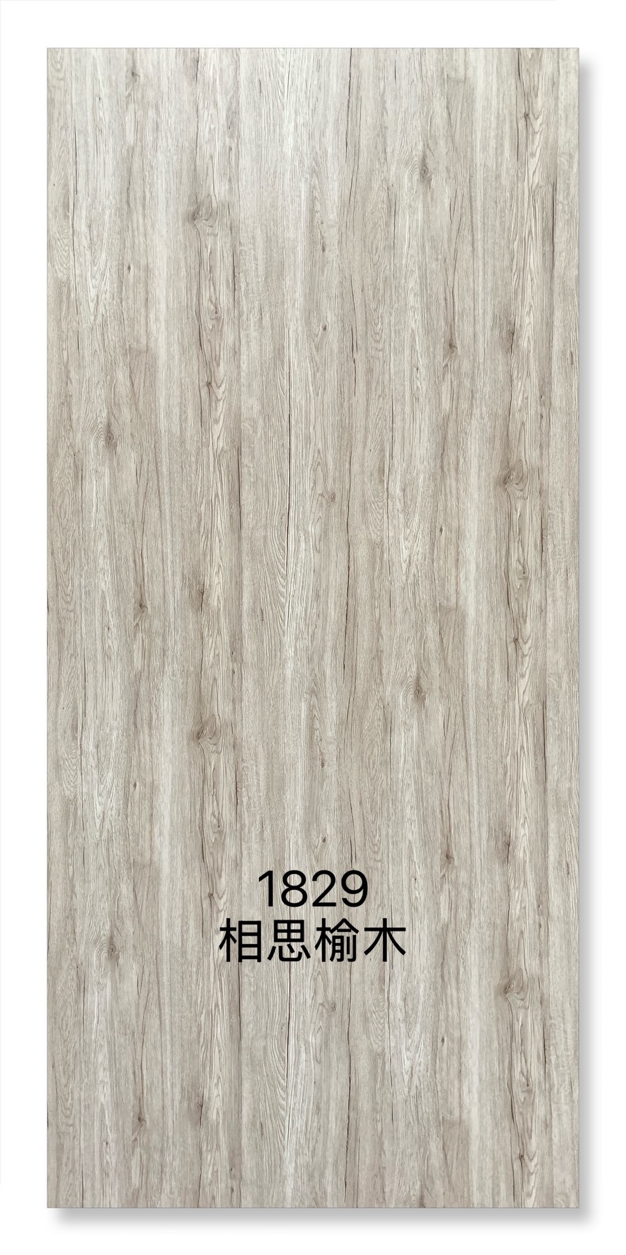 1829相思榆木