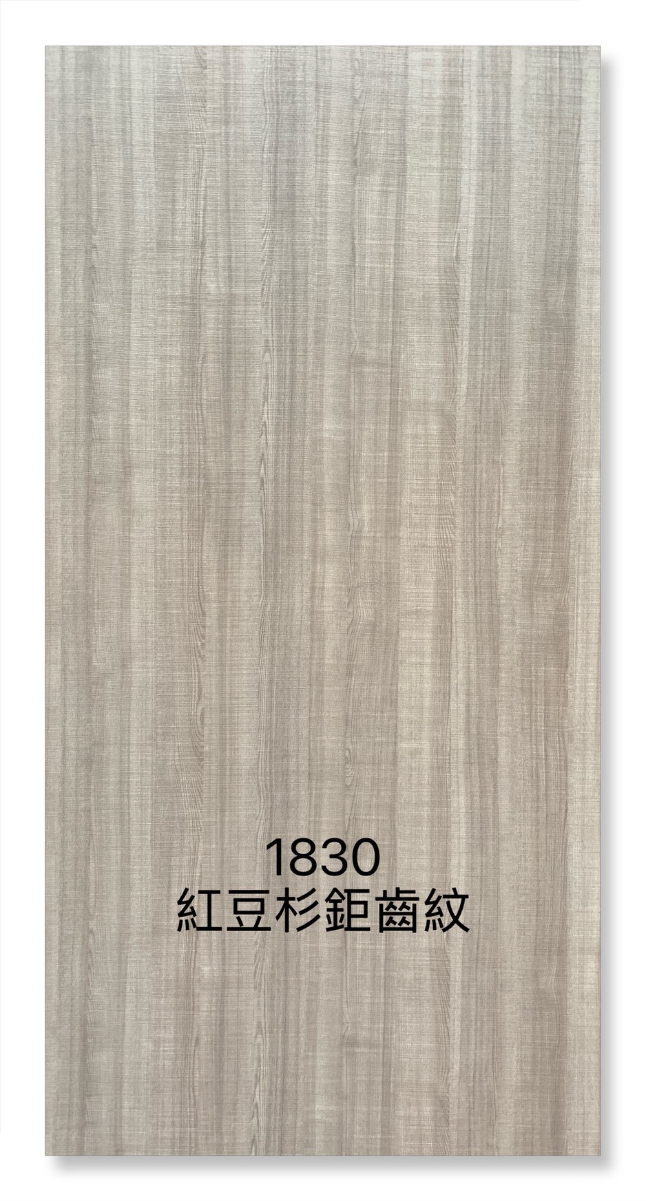 1830紅豆杉鉅齒紋