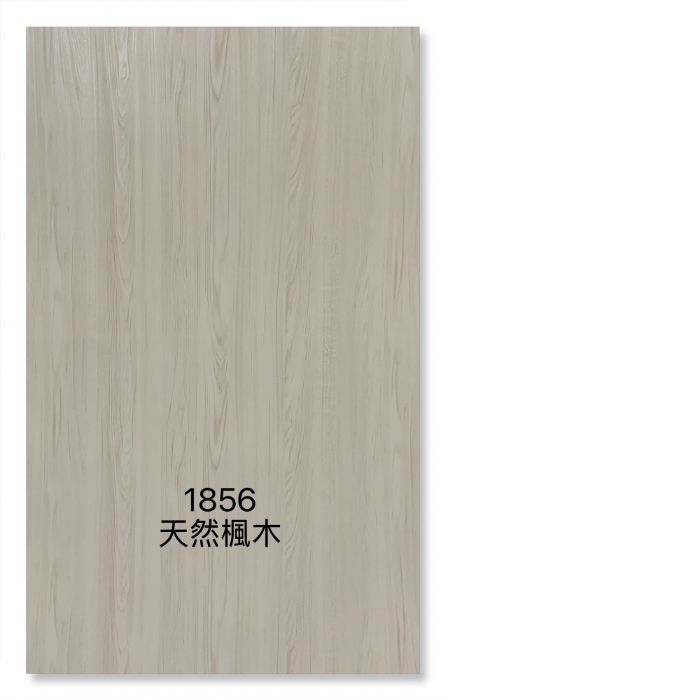 1856天然楓木