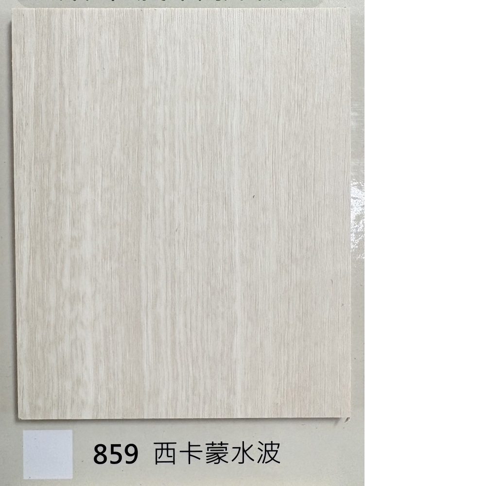 859西卡蒙水波