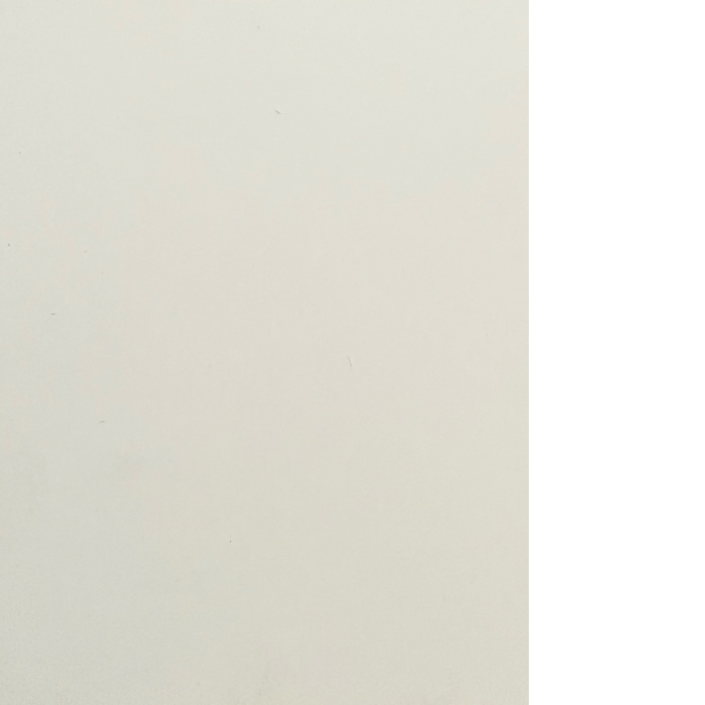 113膚感象牙白