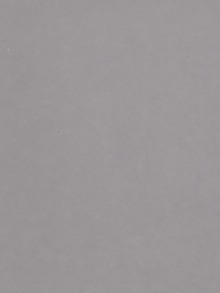 115膚感狐狸灰